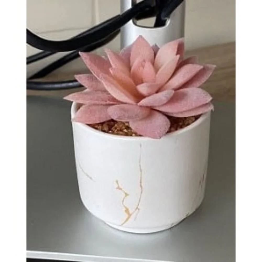 New Succulent Artificial Plants,Cute Fake Succulents in 1 Pink Ceramic Pots